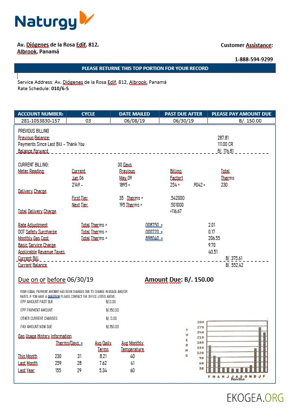 Panama Naturgy electricity company in Word format